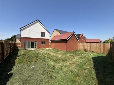 Picture 17
